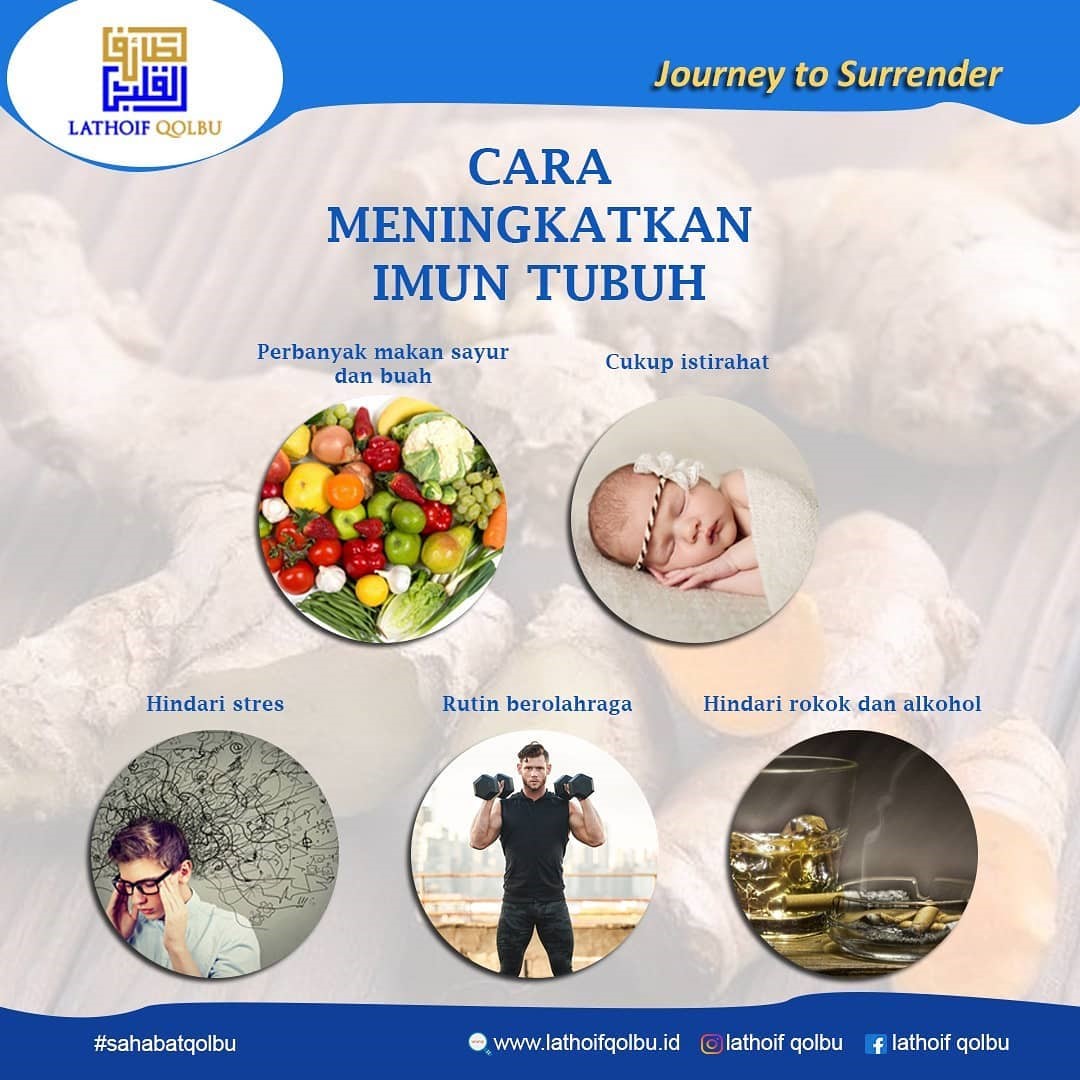 cara meningkatkan imun tubuh